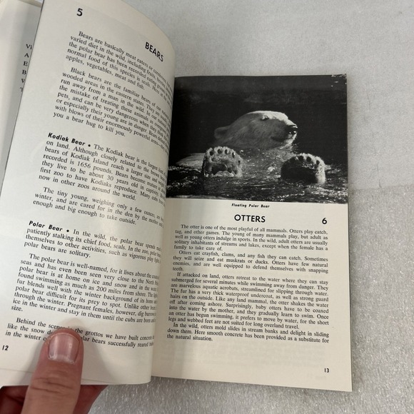 Brookfield Zoo Guide Book 1973‎ Polar Bear Cover - Picture 5 of 7